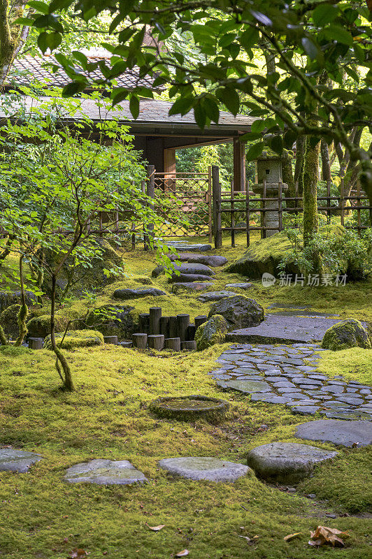 Stone Steps Green Moss日本花园俄勒冈“CreativeContentBrief”绿叶700060701